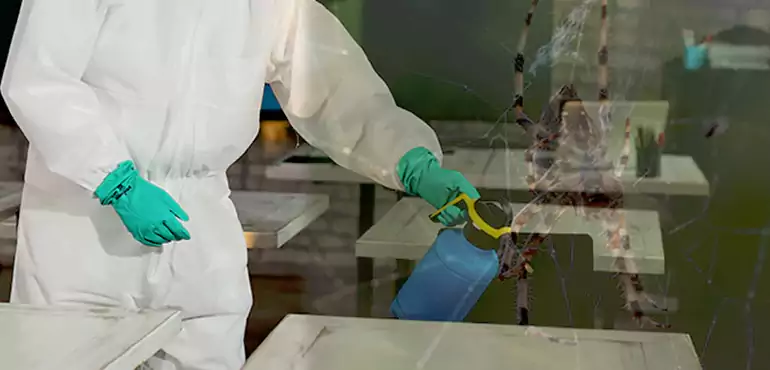 Why Buyers Still Want Homes With Pest Infestations in Stockton, CA?