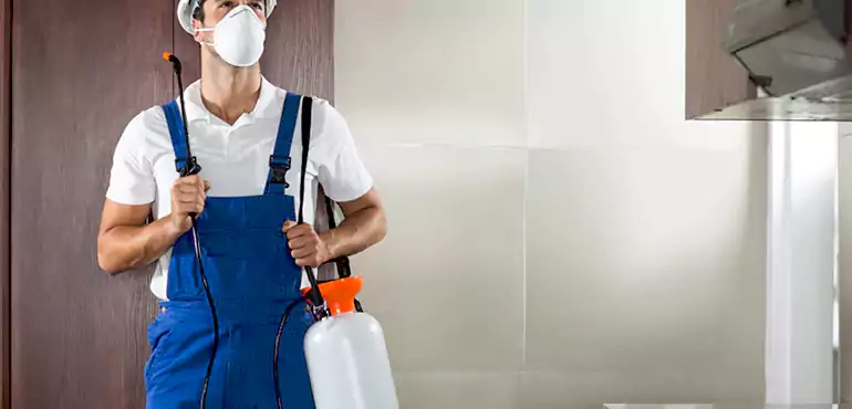 Why Stockton Homeowners Choose Us When Pests Make Selling Difficult